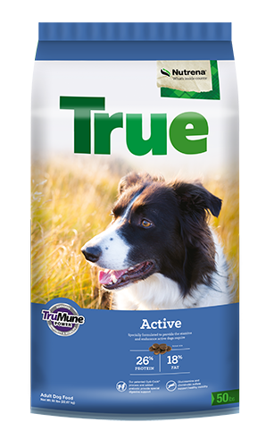 True Active Dog Food Dog Food Quality Nutrition Leland Mills