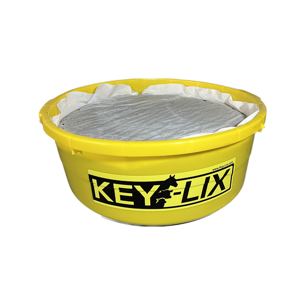KeyLix Equine Gold Tub Horse Feed Leland Mills