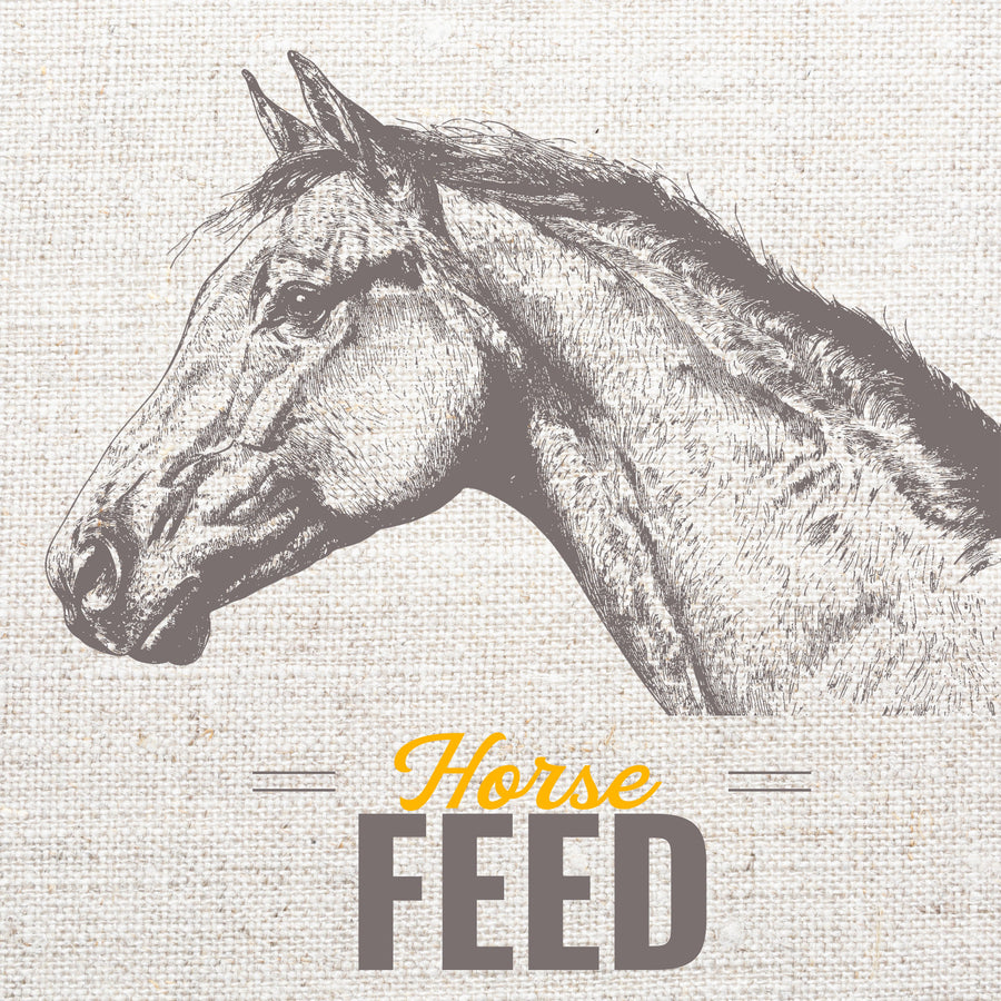Horses