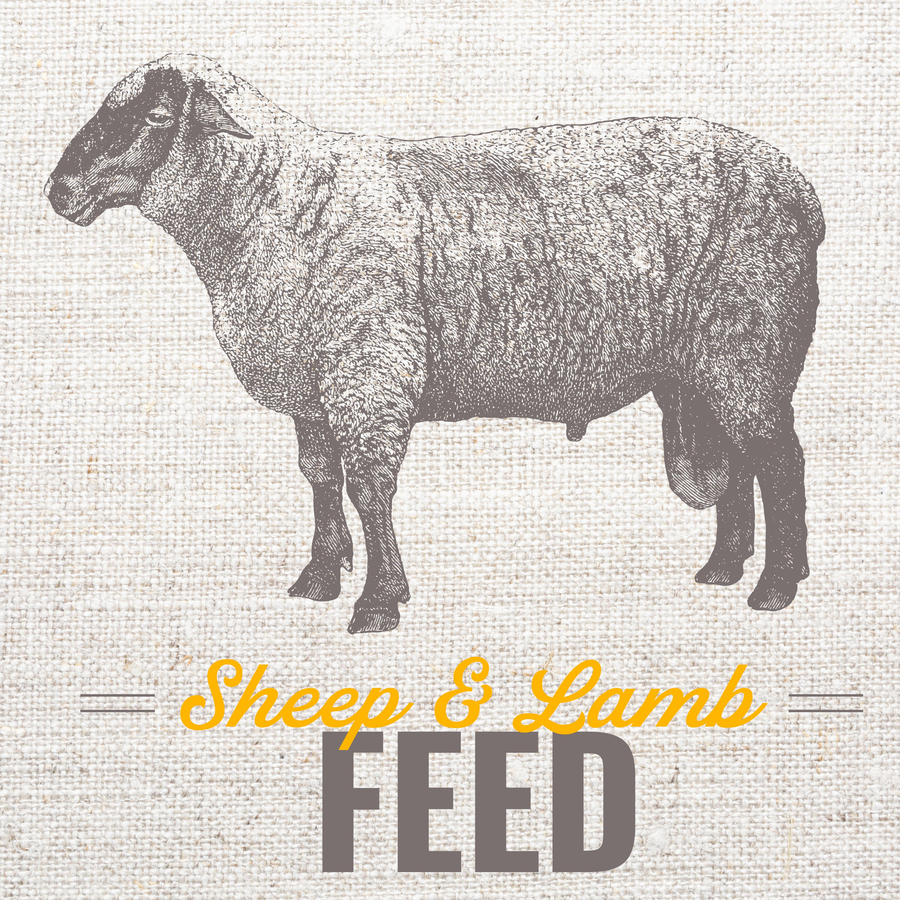 Sheep & Goats