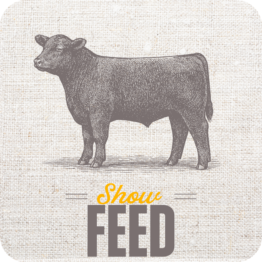 Show Feed