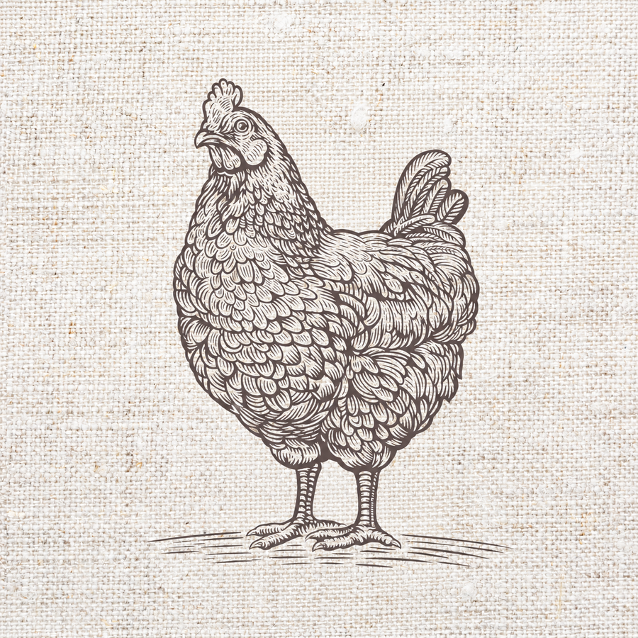 Chickens