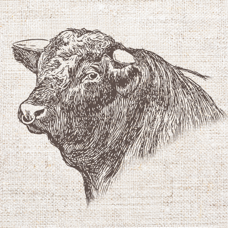 Cattle