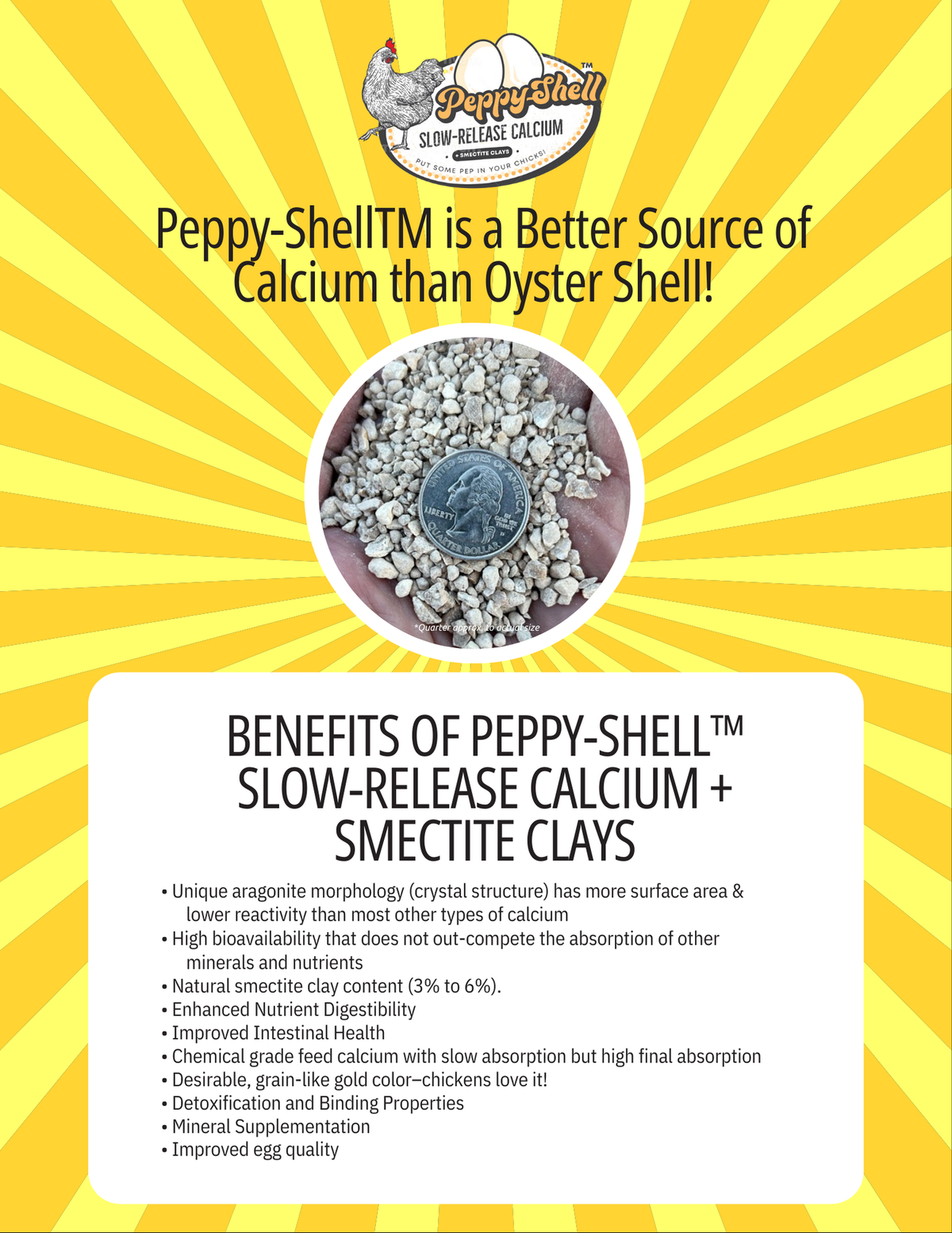 Peppy Shell Coarse Calcium 25 LB