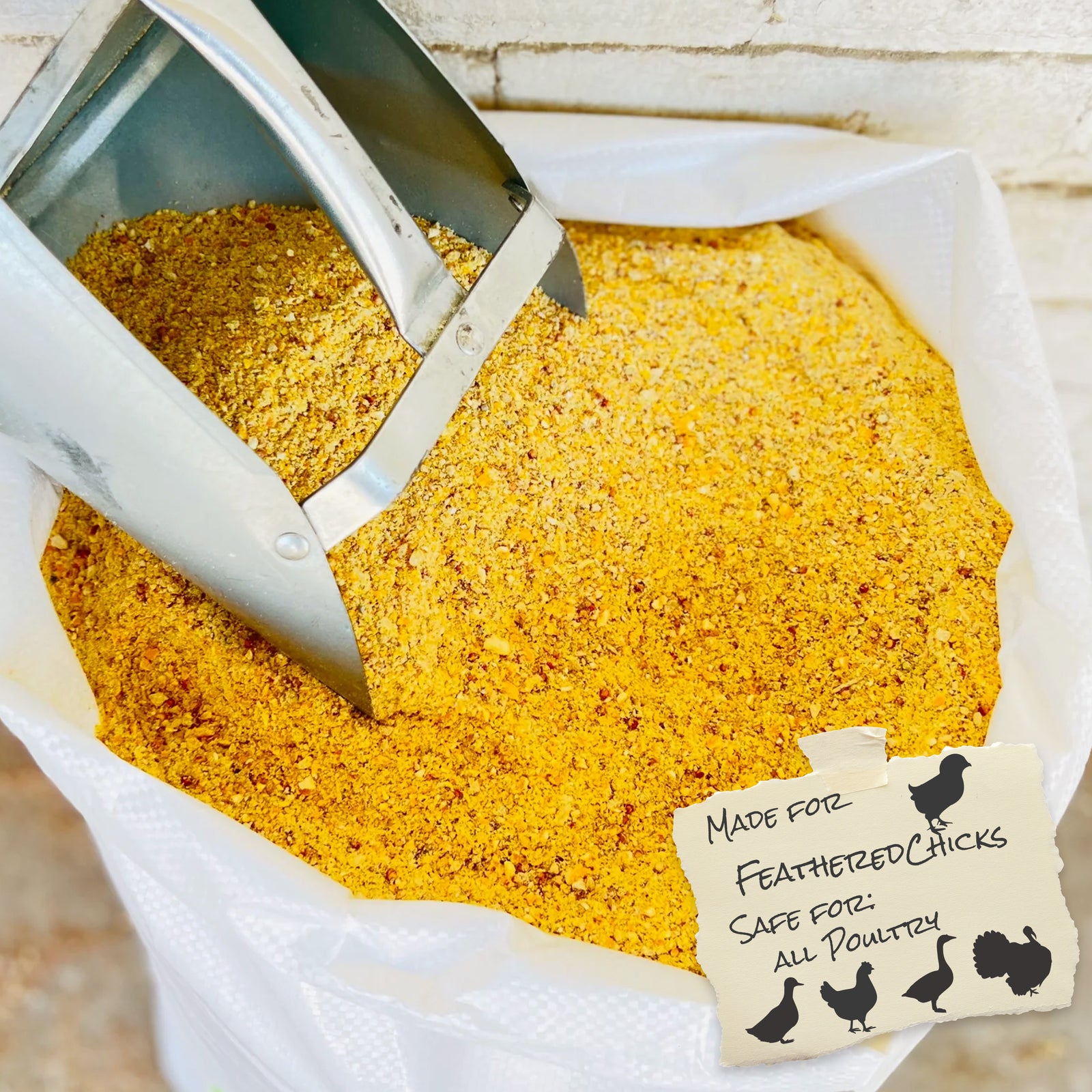 Broiler Chicken Feed For Fast Healthy Growth Leland Mills broiler-chicken-feed-for-fast-healthy-growth-leland-mills