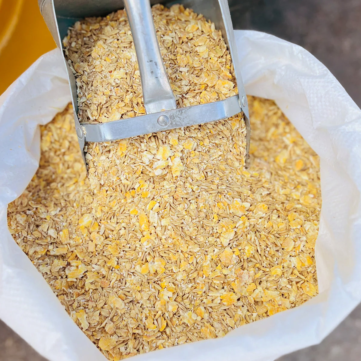 Maíz, avena y cebada (COB) para recogida y entrega local