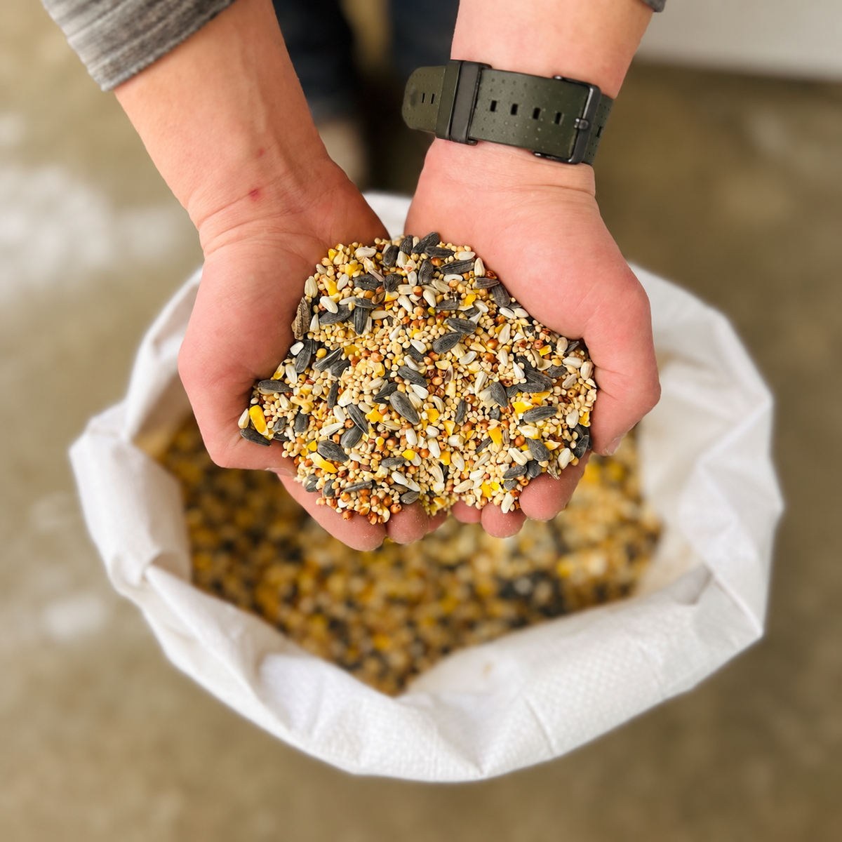 Wild Bird Seed