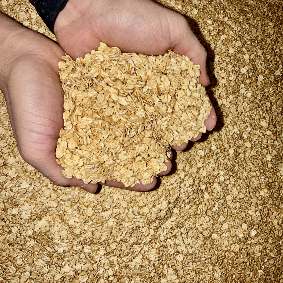Avena laminada de calidad alimentaria, 50 lb