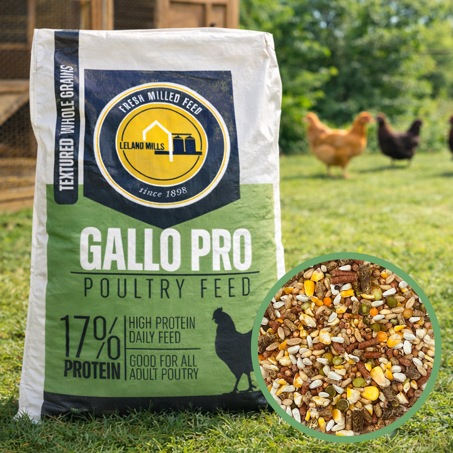 Gallo Pro