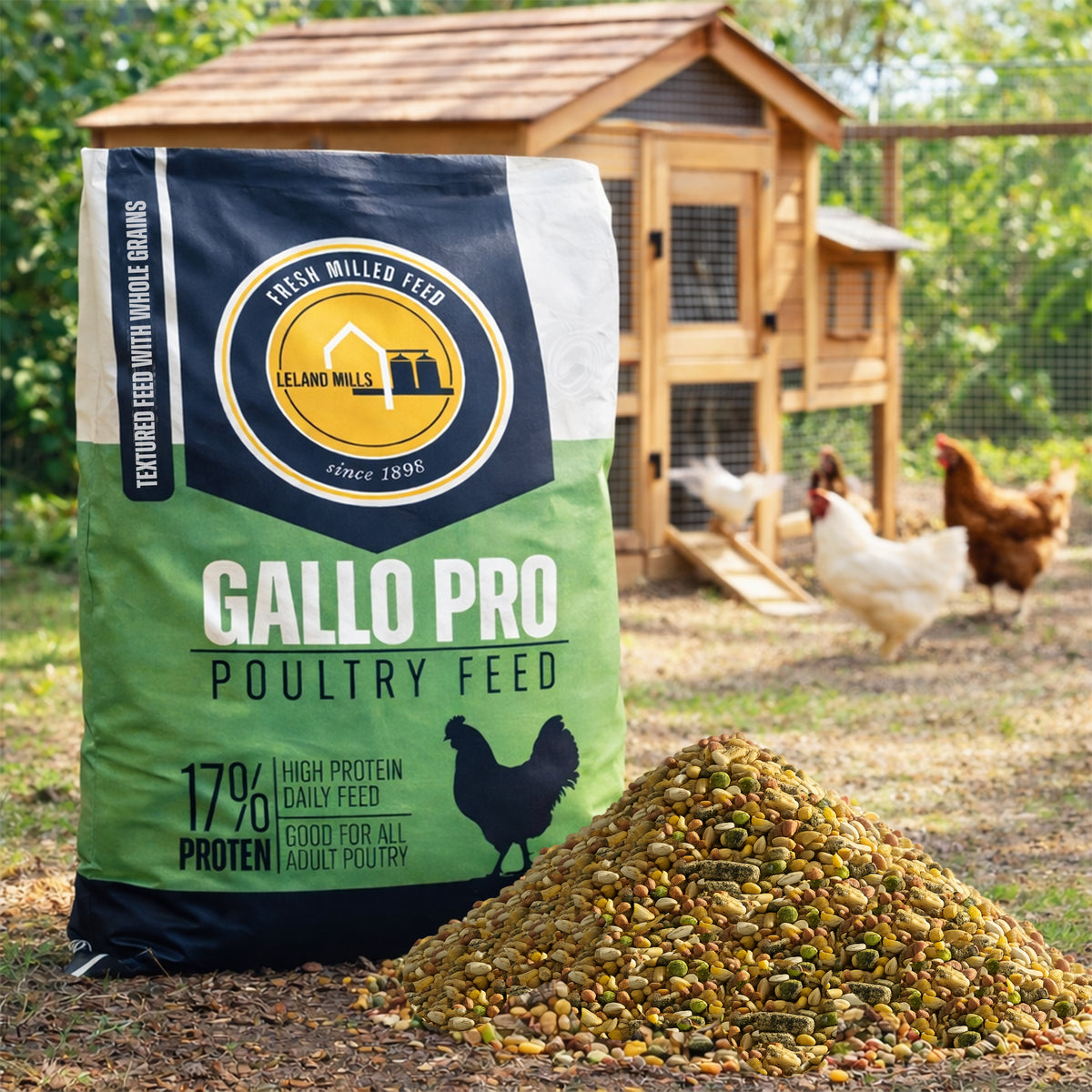 Gallo Pro para recogida y entrega local