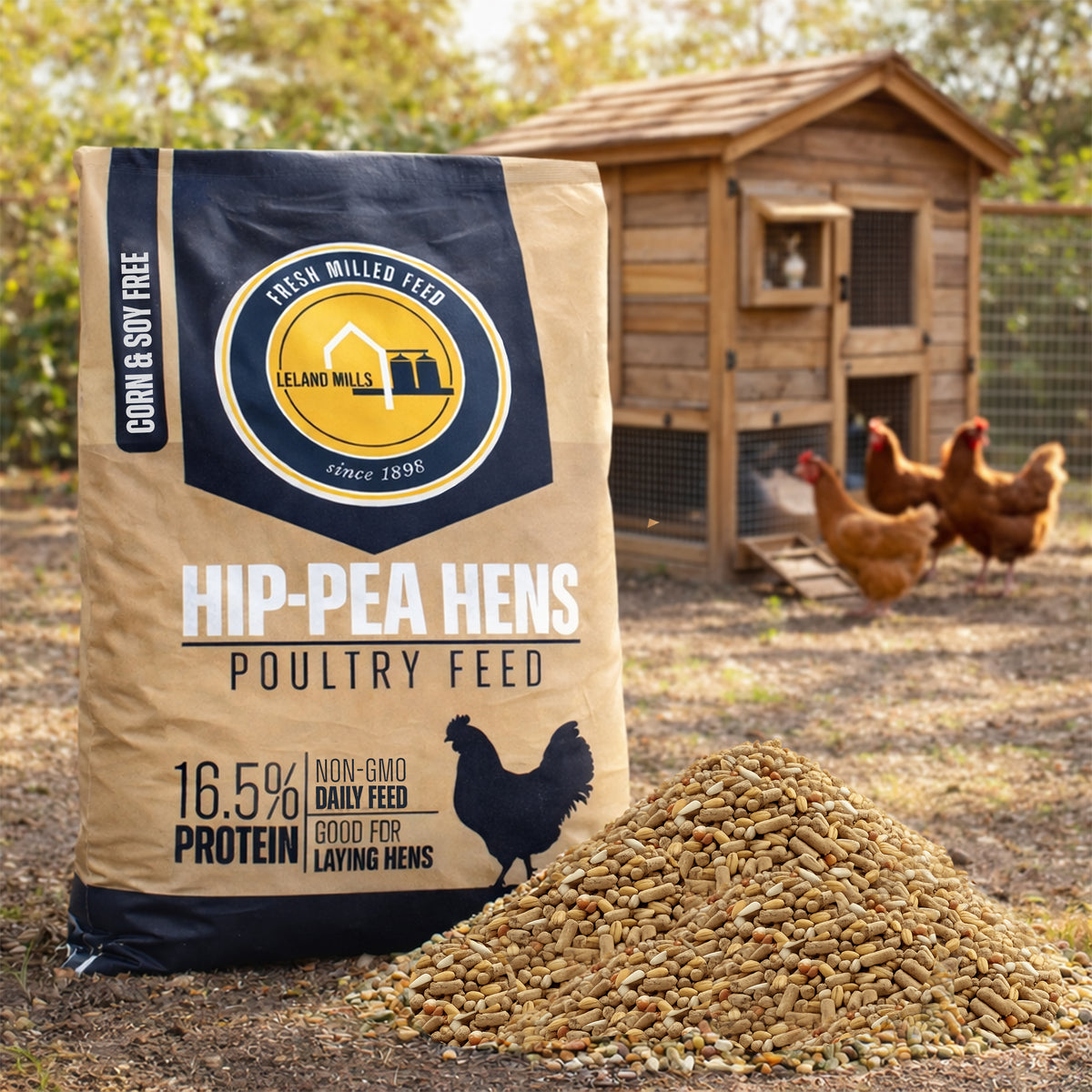Mezcla para gallinas ponedoras sin maíz ni soja HIP-PEA HENS para recogida y entrega local