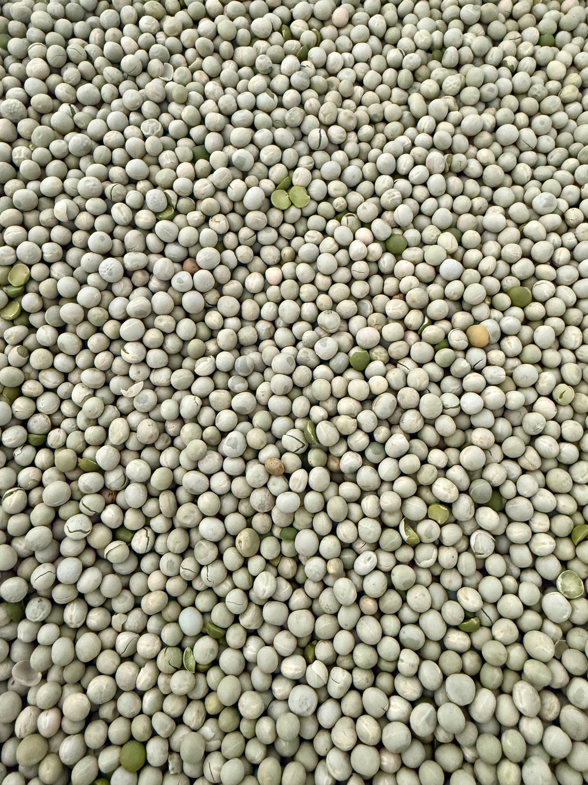 Whole Green Peas 50 LB Bag