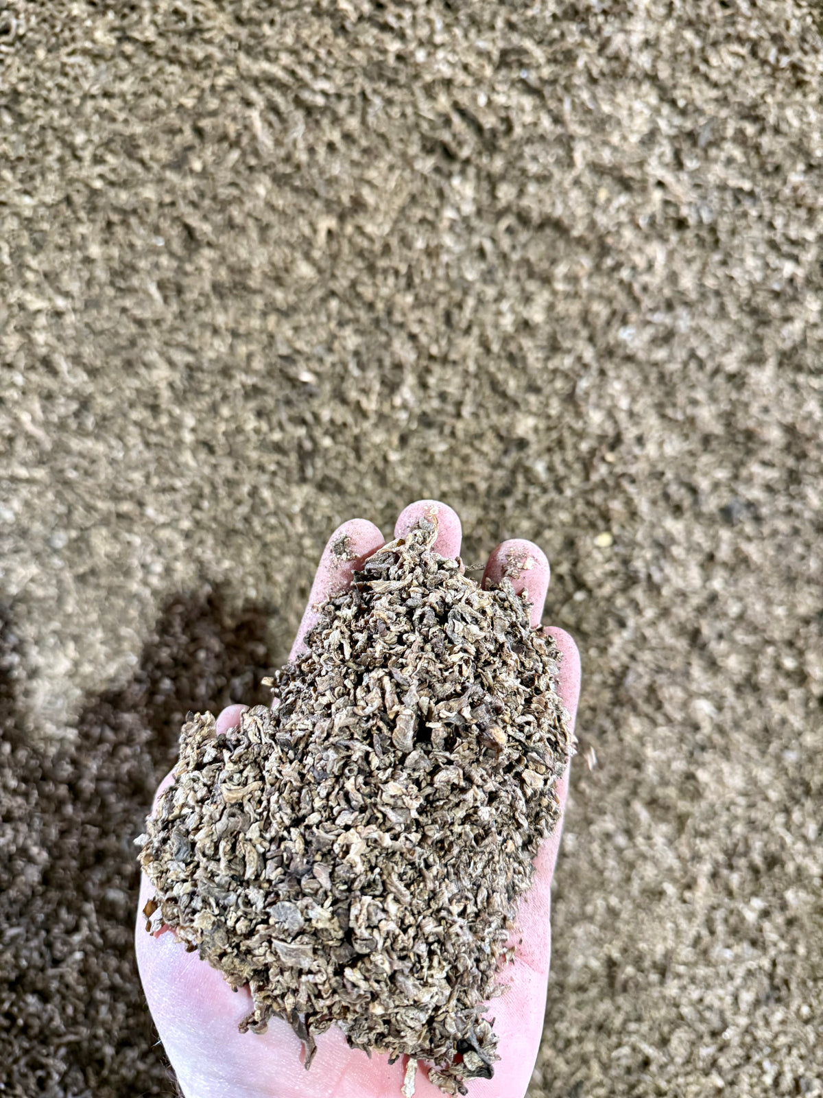 Beet Pulp Shreds 30 LB Bag