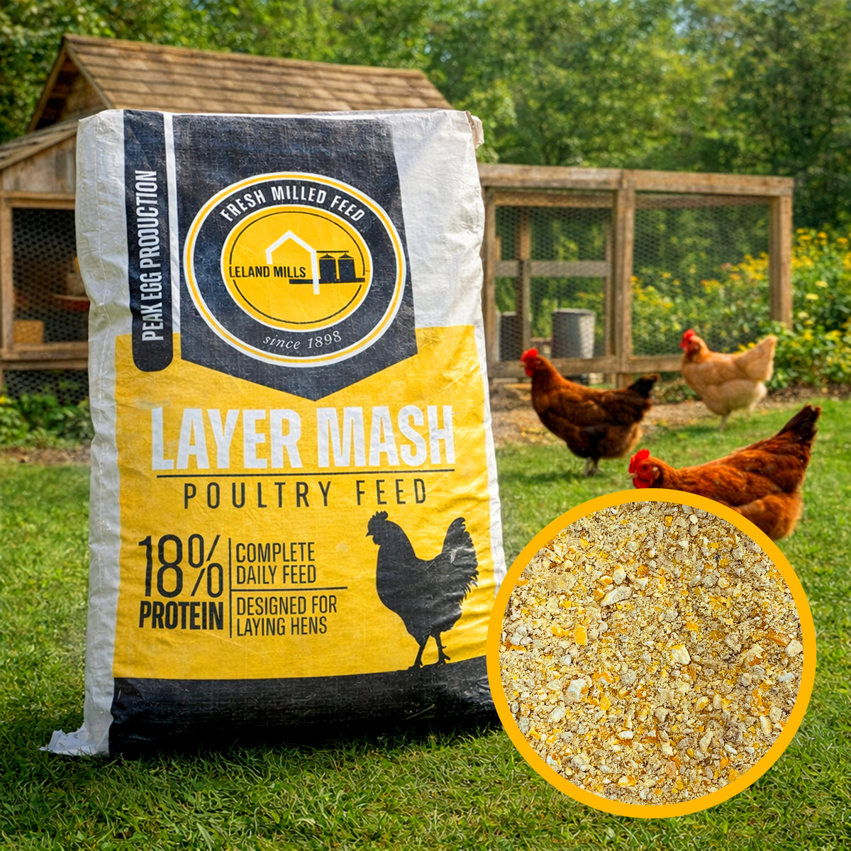 18% Protein Layer Mash