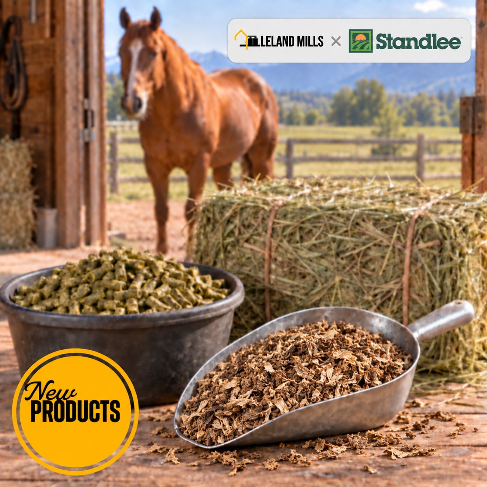 Standlee Horse Forage by Leland Mills