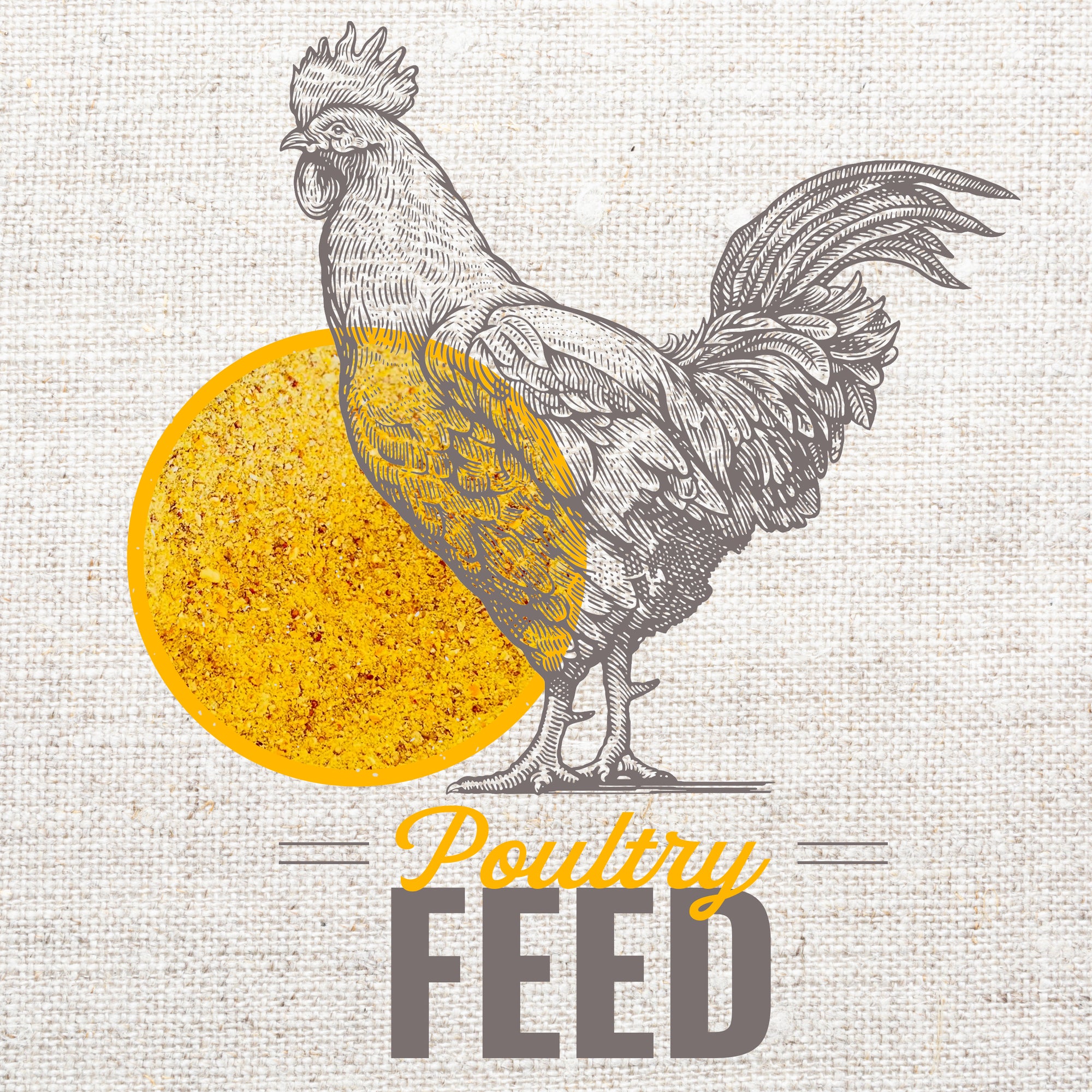 Poultry Feed by Leland Mills Image of Rooster with Leland Mill Premium chicken feed