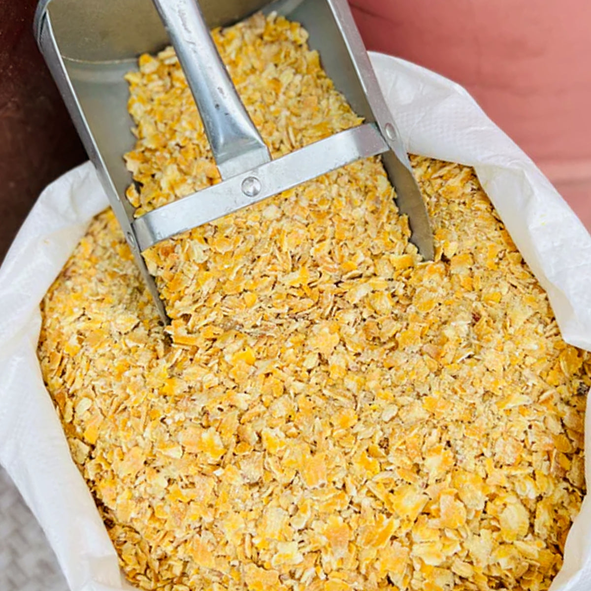 Rolled In Rolled Corn | Feed for Most Livestock | Leland Mills