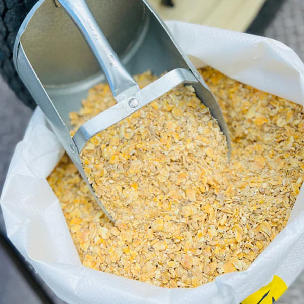 Rolled Corn and Barley | Livestock Feed | Leland Mills Local