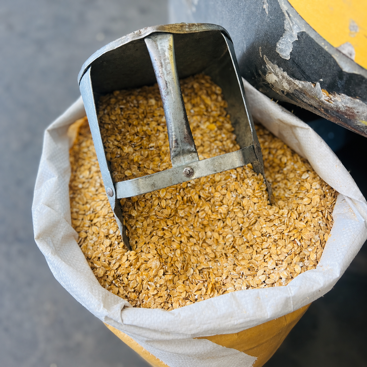 Rolled Barley