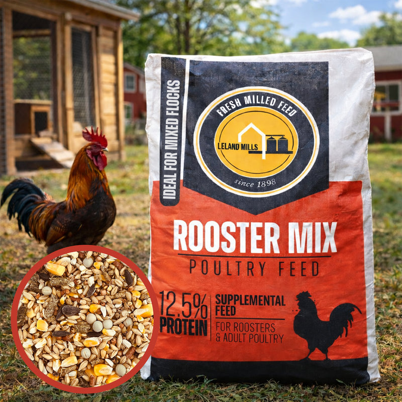 High-Quality Rooster Feed for Strong, Healthy Birds | Leland Mills