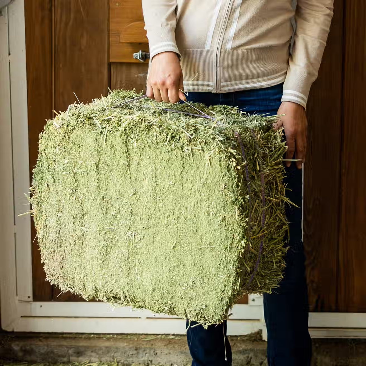 Alfalfa Grab & Go Compressed Bale – 50 lb