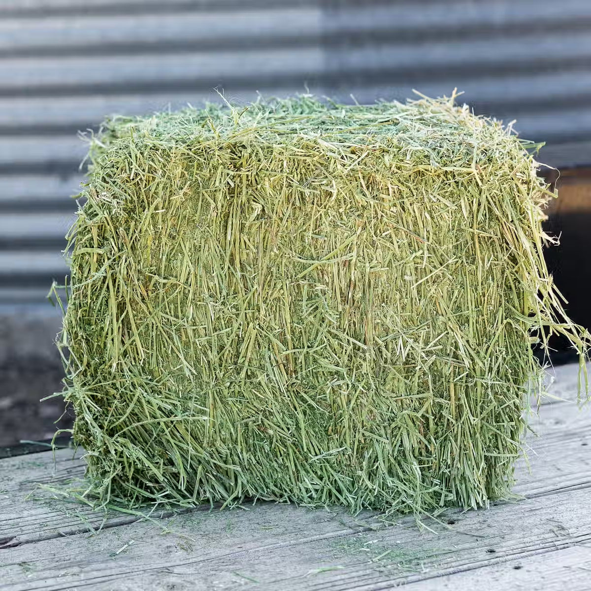 Standlee Timothy Grass Grab & Go Compressed Bale – 50 lb