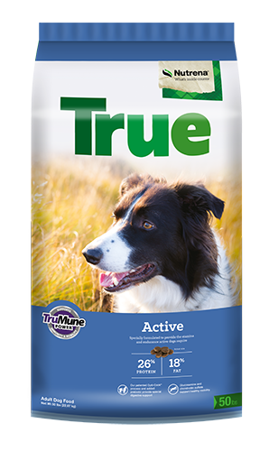 Dog Food - True Active