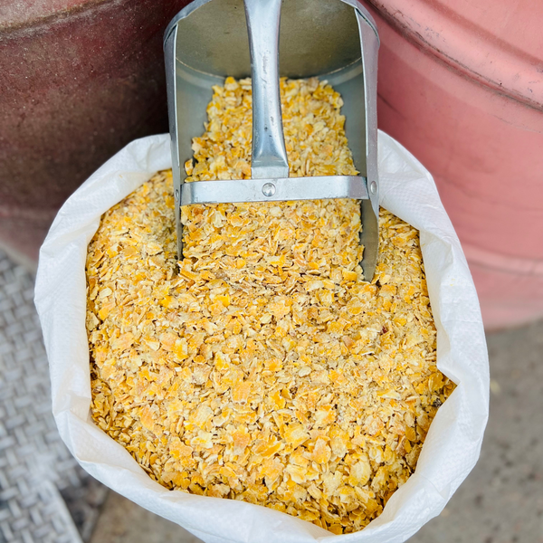 Rolled Corn Feed For Most Livestock Leland Mills rolled-corn-feed-for-most-livestock-leland-mills